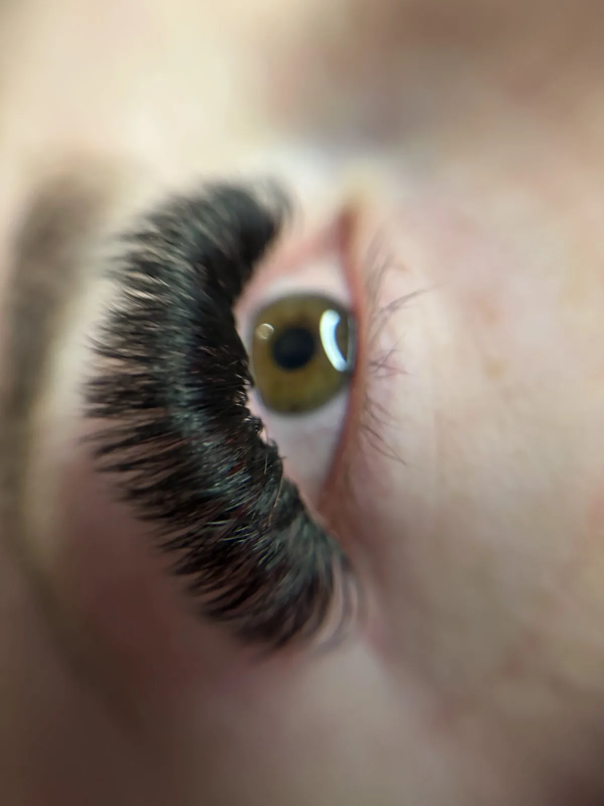 Elite Beauty salon in Newport, TN
